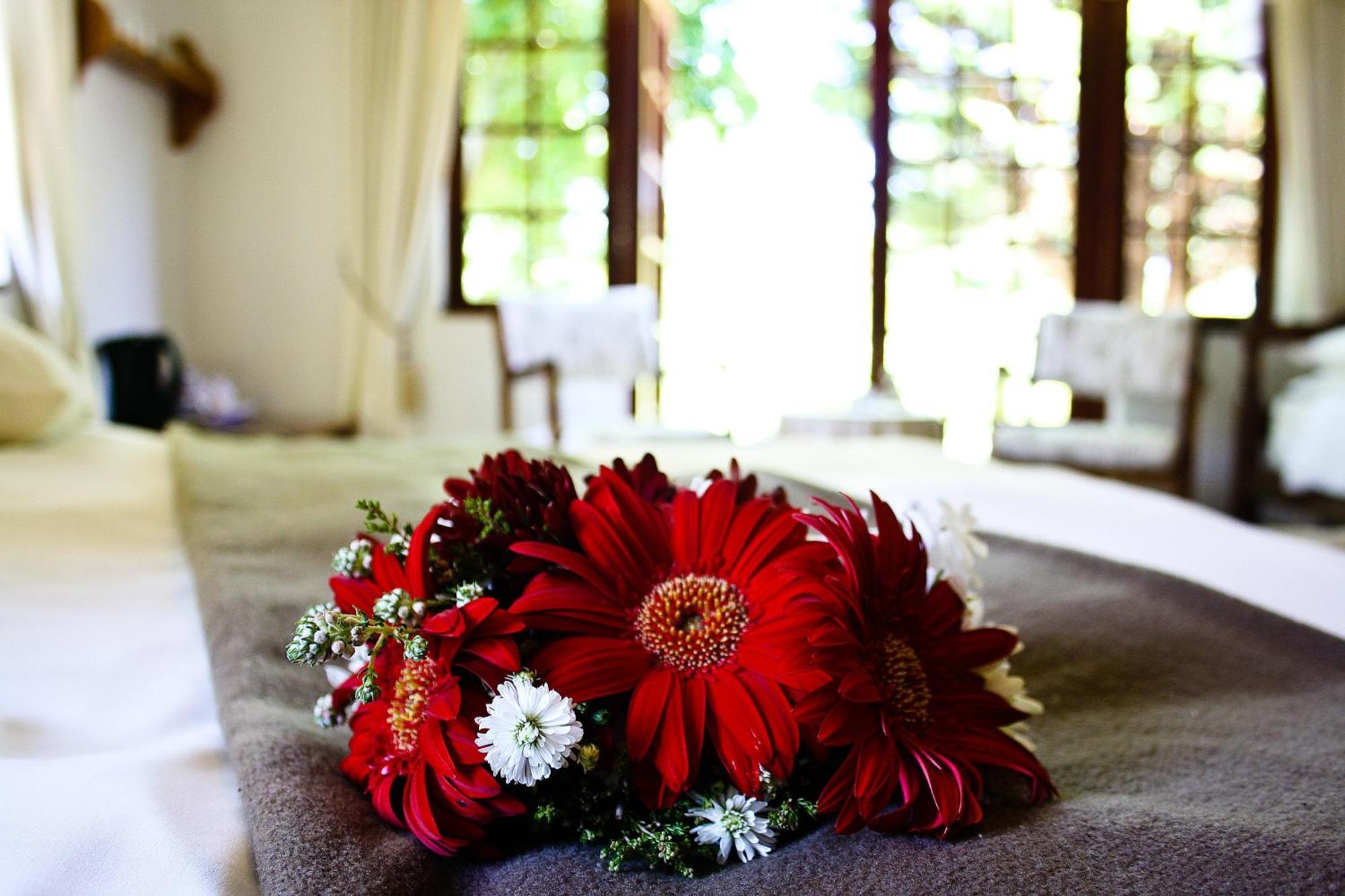 Storms River Guest Lodge Stormsrivier Chambre photo