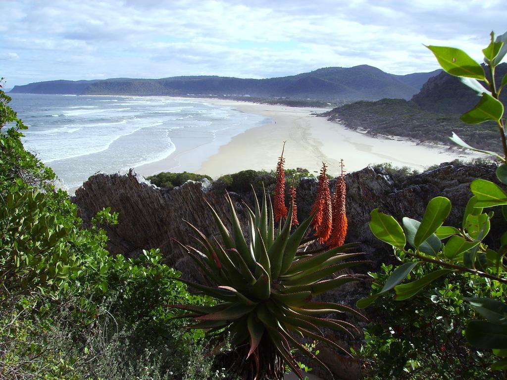 Storms River Guest Lodge Stormsrivier Extérieur photo